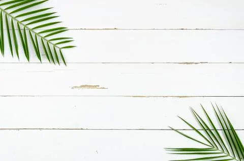 Top view layout border arrangement with palm leaves on corners. Summer is coming Stock Photos
