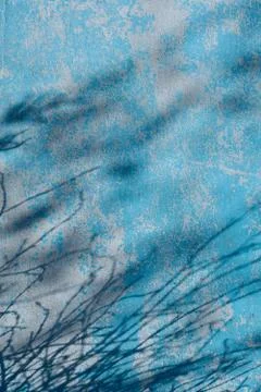 Top view of  leaf shadow onclassic  blue  color wooden wall as background. Fl Stock Photos