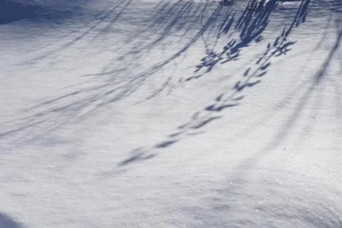Top view of  leaf shadow on snow  as background. Flat lay. Minimal winter con Stock Photos