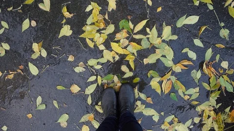 Top view of legs stand in puddle among yellow leaves Stock Footage 99165063