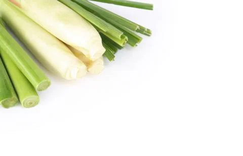 Top view lemon grass with slice isolated on white background, herb and medica Stock Photos
