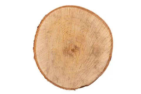 Top view: light cut birch isolated on white. Foto stock