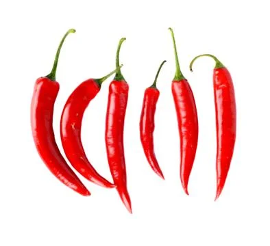 Top view of line composition chilli red peppers isolated on white background Stock Photos