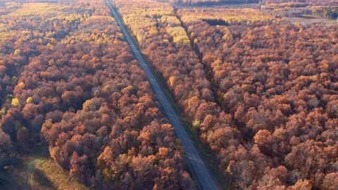 A top view of the local paved highway loaded with traffic. Transportation of Stock Footage 164386712