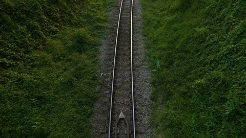 Top view of local train moving on railway at sunset. Rail road in the forest. Ra Stock Footage 103832137