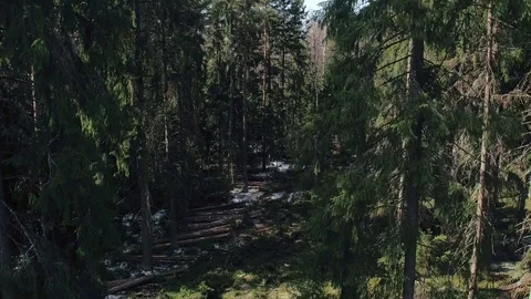 Top view logging machine making logging on a winter day. Process deforestation Stock Footage 78980260