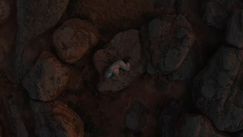 Top view of a lone astronaut on Mars. The astronaut lies on the surface of the Video stock 126776962