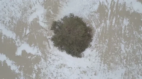 Top view of lonely tree in snowy winter field Olkhon, rural landscape Siberia Stock Footage 131794301