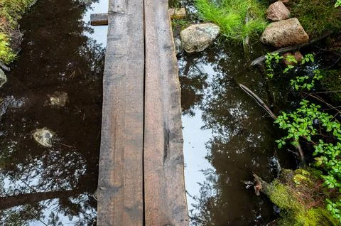 Top view looking down on a boardwalk path at the western edge of Jordan Pond in Stock Photos