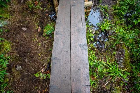 Top view looking down on a boardwalk path at the western edge of Jordan Pond in Stock Photos