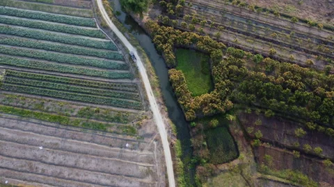 Top view looking down on a rural country road with cars driving along it. Stock Footage 232084168