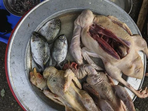 Top view on loose fish, duck and chicken for sale at the Hue Mar Stock Photos