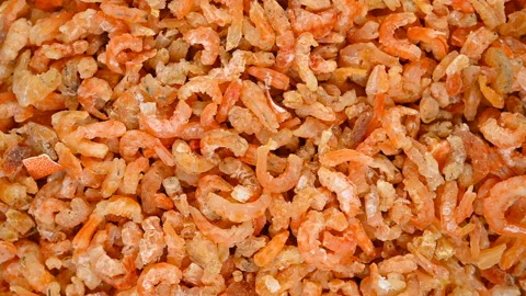 Top view lots of small size shrimps rotating Stock Footage 134510294