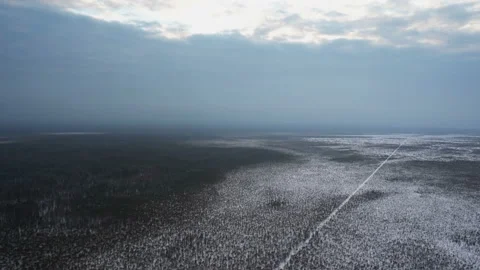 Top view from a low-flying plane on the blue snow-covered low forest on which a Stock Footage 139270577