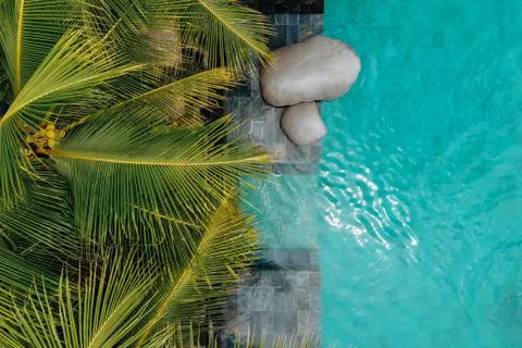 Top view of luxury infinity pool in tropic with palm trees. Luxurious villa,  Stock Photos