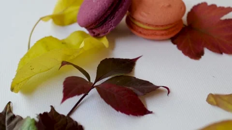 Top view of macarons on a white background surrounded by autumn leaves. autumn Stock-Footage 139149206