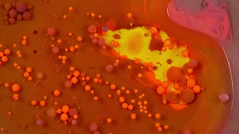 Top View Macro of Acrylic Paint and Oil Bubbles in Chaotic Motion Video stock 279564017