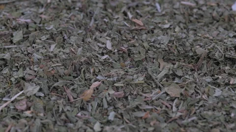 Top view, Macro. Heap of crushed dry mint leaves powder, Slider shot. Stock Footage 292528246