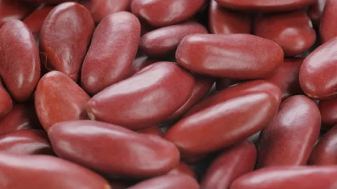Top view, macro. Heap of dried uncooked red kidney beans, slider shot. Stock Footage 292535458