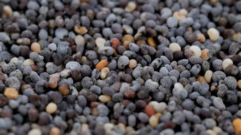 Top view, macro. Heap of dry opium poppy seeds, slider shot. Stock Footage 292504808