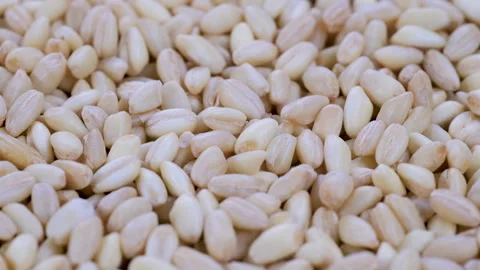 Top view, macro. Heap of raw uncooked wheat grains. Slider shot. Stock Footage 292520074