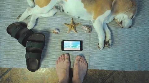 Top view on man bared at home look forward to vacation with smartphone Stock Footage 197567813