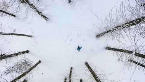 Top view of a man with blue jacket in the winter forest among the pine trees Stock Footage 150608756