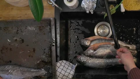 Top view of man cleaning and preparing fresh fish in black kitchen sink. Home se Stock Footage 329579424