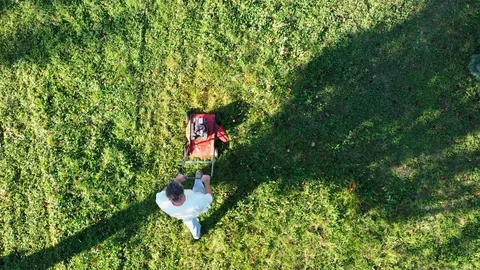 Top view of man cutting green grass with lawn mower. Video stock 117833908