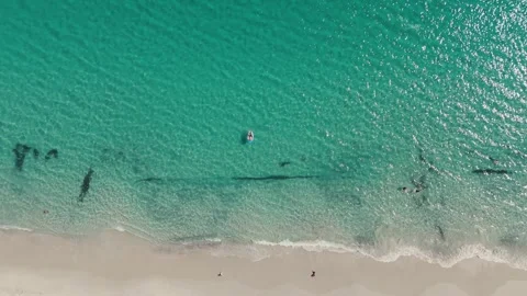 Top View Of Man Floating In Inflatable Ring On Turquoise Water At Tropical Beach Stock Footage 317786602