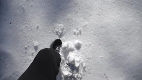 Top view of man legs stepping on deep snow illuminating sunlight. POV Stock Footage 135179460