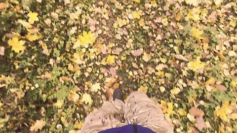 Top view on man legs - walking through autumn forest with fallen leaves. Stock Footage 276873499