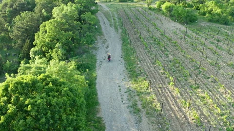 Top view of a man on a motorcycle on the road Stock Footage 256237774