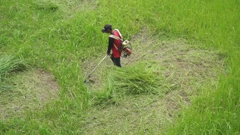 Top view of a man in a robe mowing the grass Stock Footage 233947139