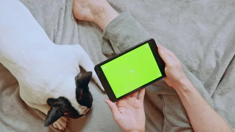 Top view man using device at home Stock Footage 144453951