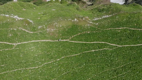 Top view of man walking along a trekking route in the mountains. Aerial view Video stock 138159238