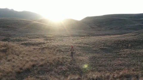 Top view of a man walking down a hill in autumn Stock Footage 104909174