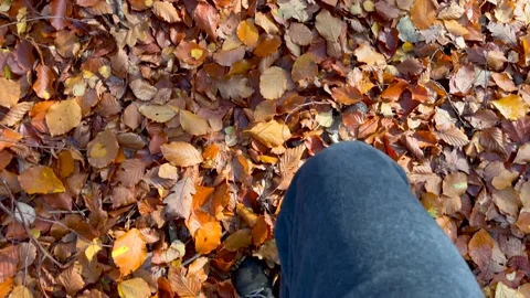 Top view -man walking on fallen autumnal leaves. Stock Footage 220432356