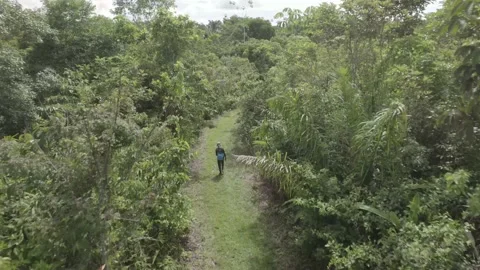Top View Of A Man Walking On Pathway Ami... | Stock Video | Pond5