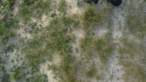 Top view a man who is taking photo in Chiang Mai, Thailand Stock Footage 100881313