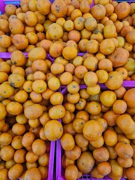 Top View of Mandarin Orange Stock Photos