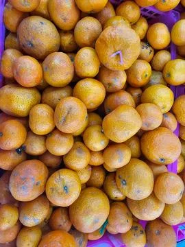 Top View of Mandarin Orange Stock Photos