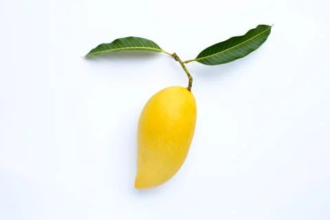 Top view of Mango, Tropical fruit  juicy and sweet. Stock Photos