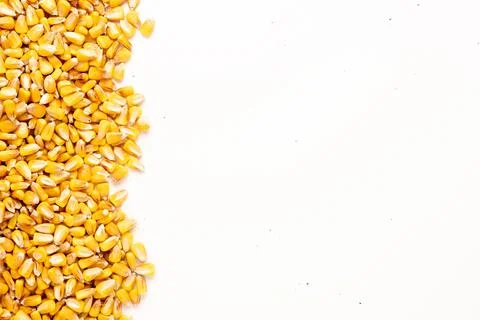 Top view of many corn grains with copy space Fotos Stock