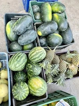 Top view of many green fresh watermelons fruit in a basket. Stock Photos