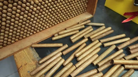 Top view of many just rolled unlabeled handmade cigars are laid in a stack and Stock Footage 246861970