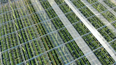 Top view of a massive greenhouse with a transparent roof Stock Footage 128395802