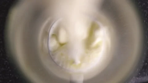 Top view of milk being poured  close up of pouring milk. Stock Footage 196972937