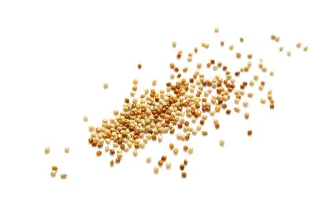 Top view millet Stock Photos