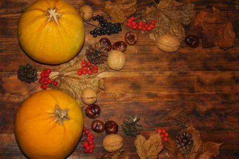 Top view of mini pumpkins, colored leaves, walnuts, chestnuts, pine cones Stock-Fotos